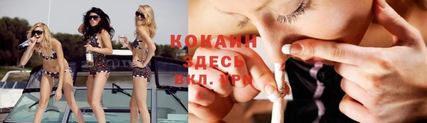 кокс Баксан