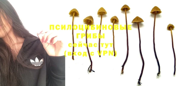 кокс Баксан