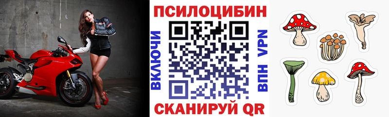 площадка как зайти  Петров Вал  Галлюциногенные грибы Magic Shrooms 